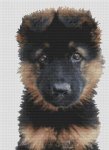 (image for) German Shepherd Puppy